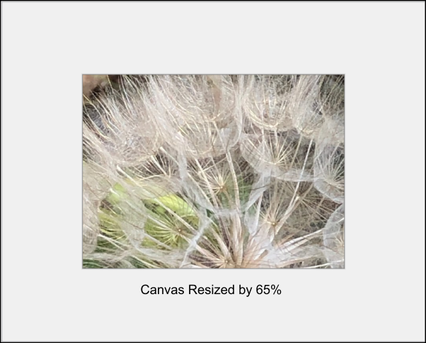 Resize Canvas Example